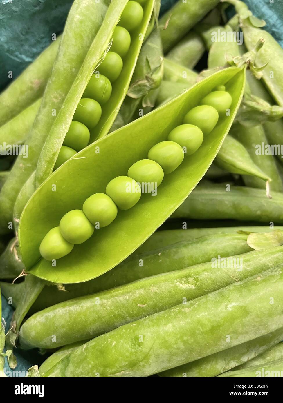 Peas in a pod - Smartphone Captured Stock Image