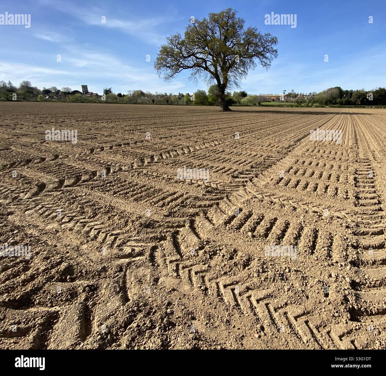 Freshly ploughed field Shelton Beauchamp, South Somerset - Smartphone Captured Stock Image
