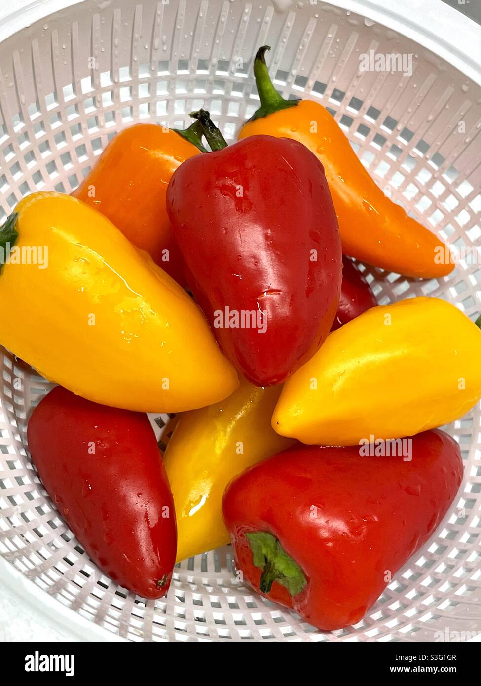 Fresh mini sweet peppers in colander washed and ready to eat - Smartphone Captured Stock Image