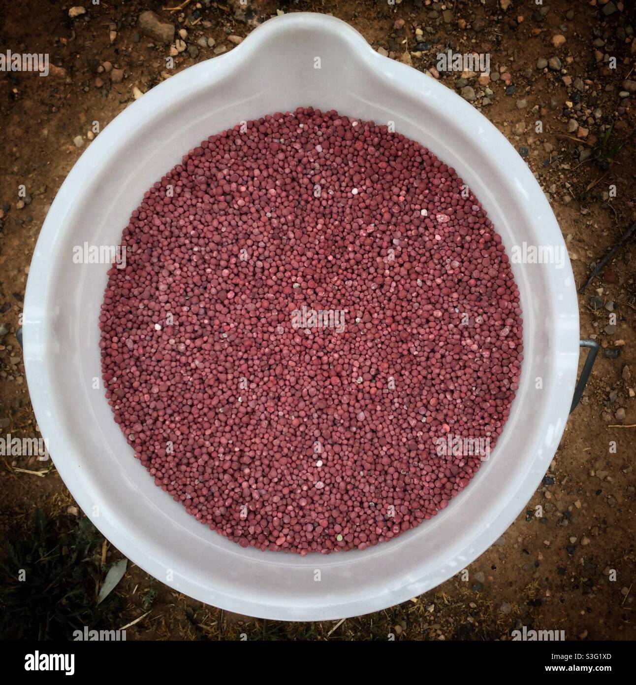 Pink organic vineyard fertiliser, Catalonia, Spain. Stock Photo