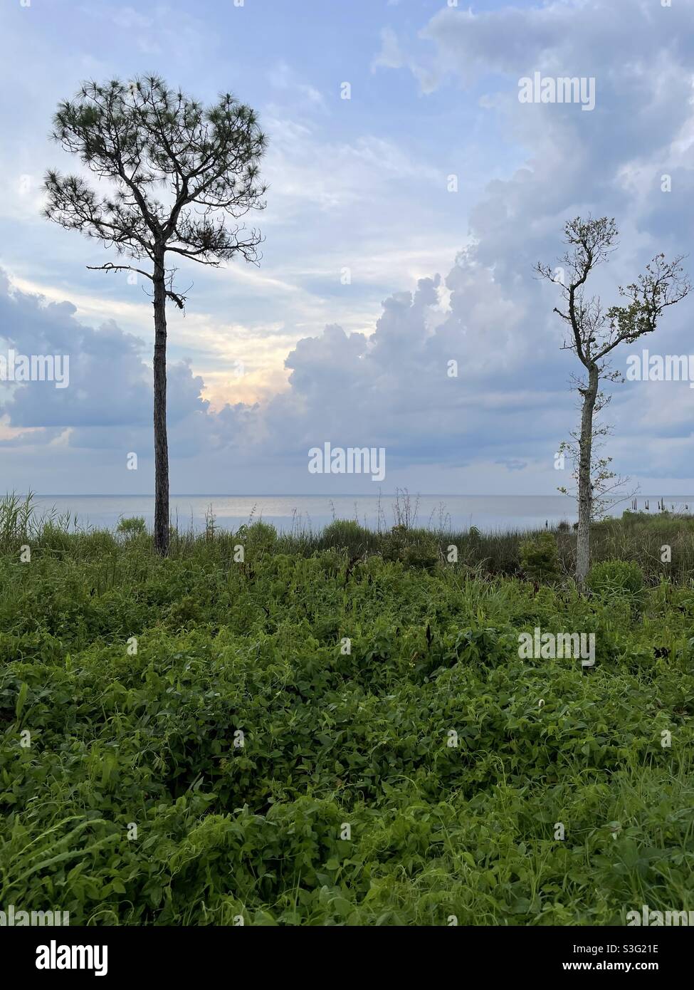 Stormy sunset skies over natural preservation area - Smartphone Captured Stock Image Stormy sunset skies over natural preservation area - Smartphone Captured Stock Image