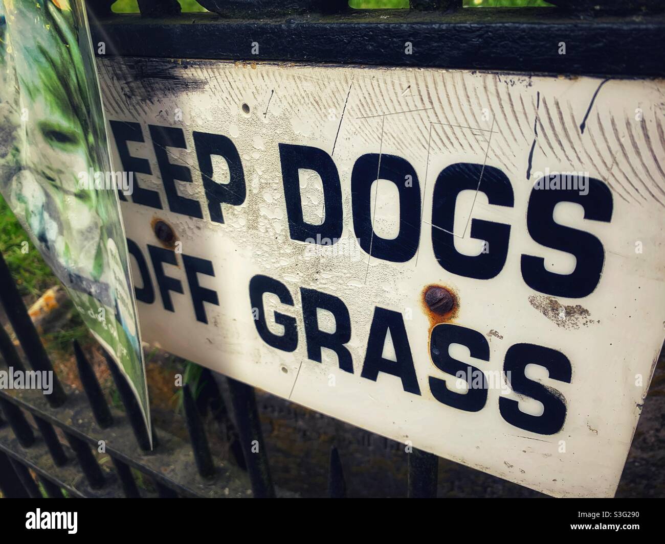 Picture of Keep dogs off grass hi-res stock photography and images - Alamy