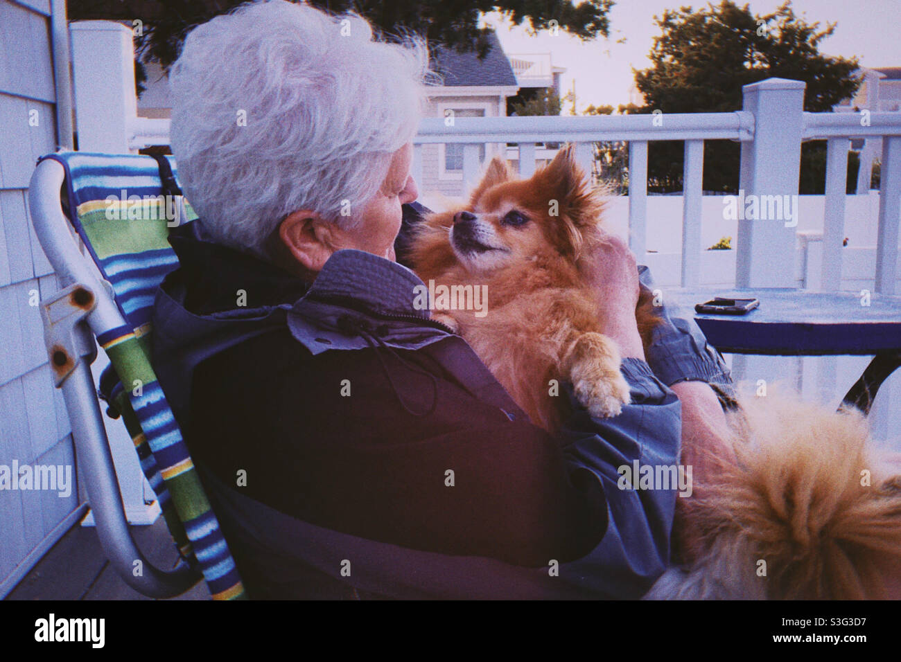 Woman with dog, Pomeranian puppy love - Smartphone Captured Stock Image