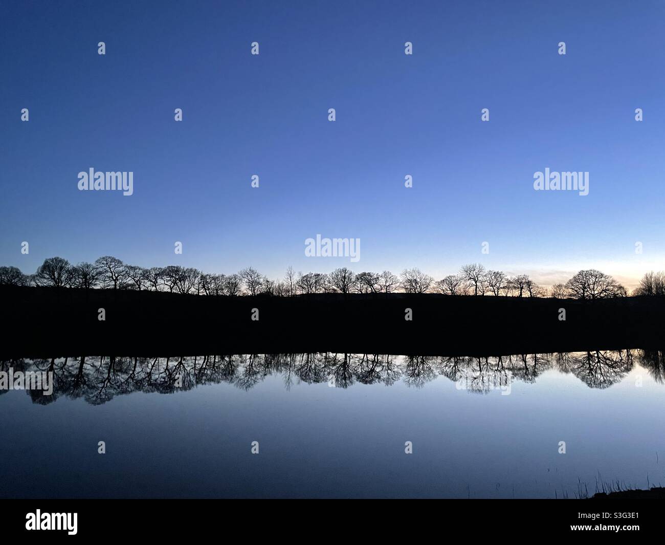 Reflective trees and trees hi-res stock photography and images - Alamy