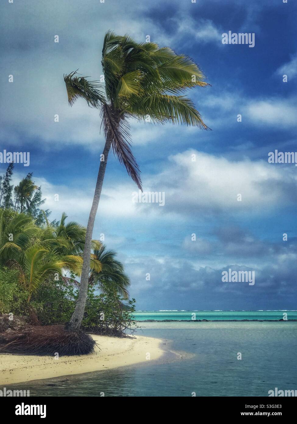Palm tree on an island in the Aitutaki lagoon, Cook Islands - Smartphone Captured Stock Image