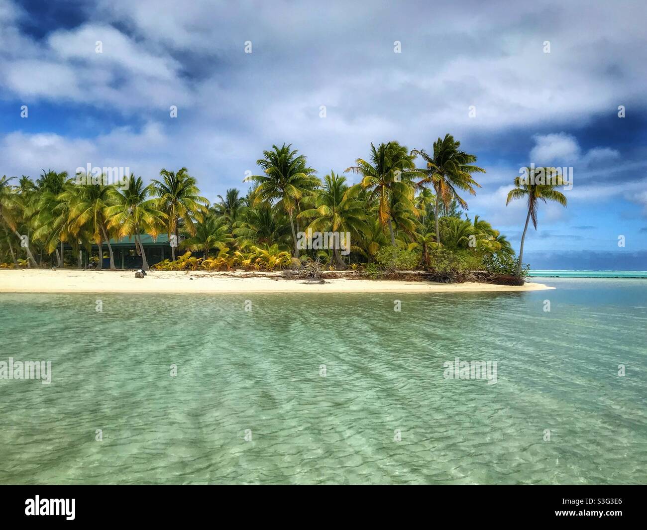 Standing in the shallow water of the Aitutaki lagoon in the Cook Islands, looking at a sandy palm tree covered island - Smartphone Captured Stock Image
