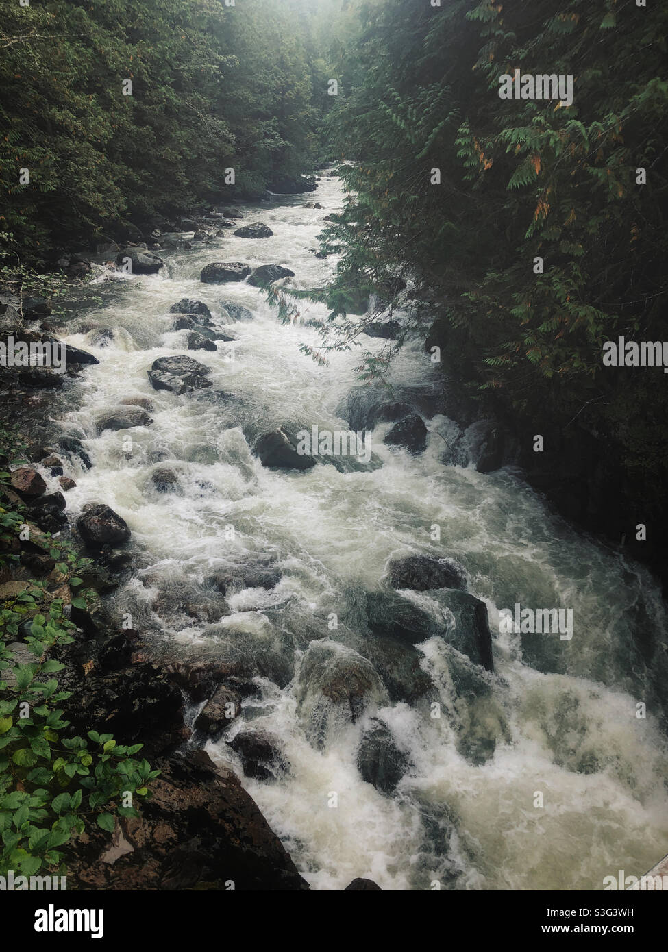 Roaring mountain river of the Pacific Northwest - Smartphone Captured Stock Image