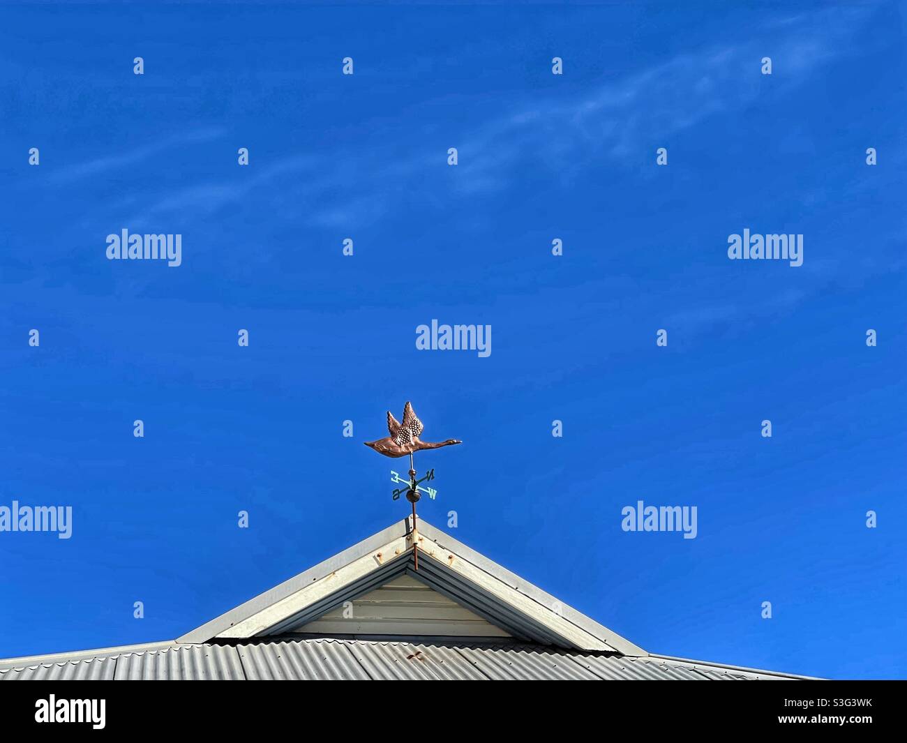 Copper weather vane depicting a goose in flight - Smartphone Captured Stock Image