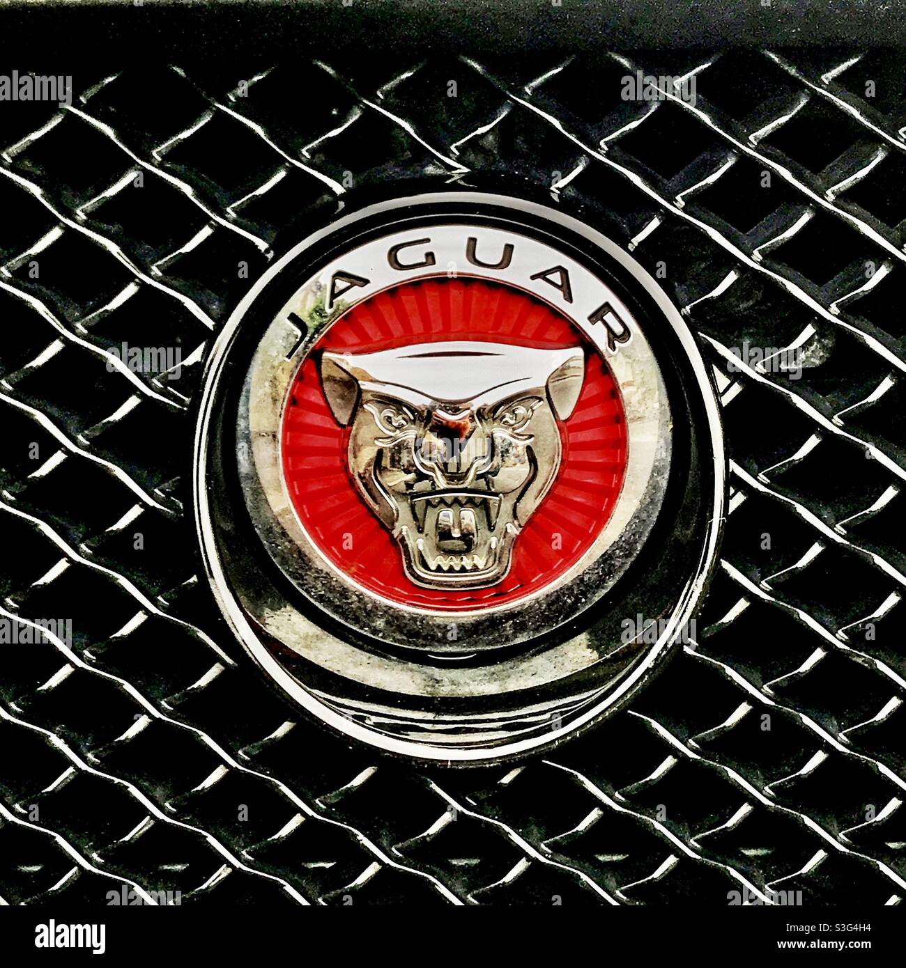 Cool and iconic Jaguar motors logo on a car grille. Stock Photo