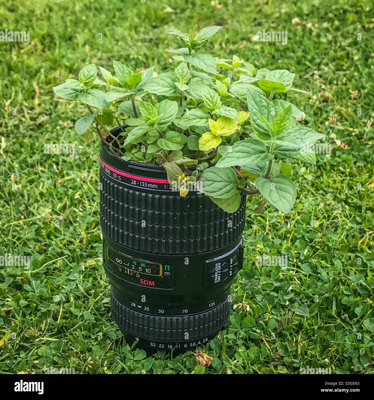 Camera lens in mint condition - Smartphone Captured Stock Image