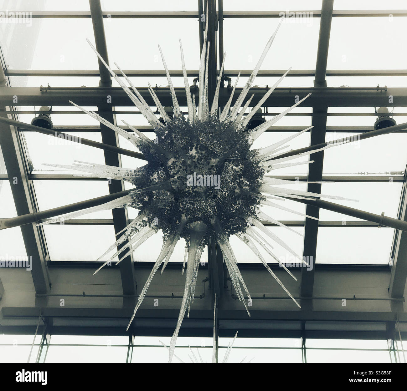 An icy Christmas decoration, hanging from the glass ceiling of a building in downtown Calgary, Alberta, Canada. However it looked more like a giant spiky virus particle. December 2020. - Smartphone Captured Stock Image