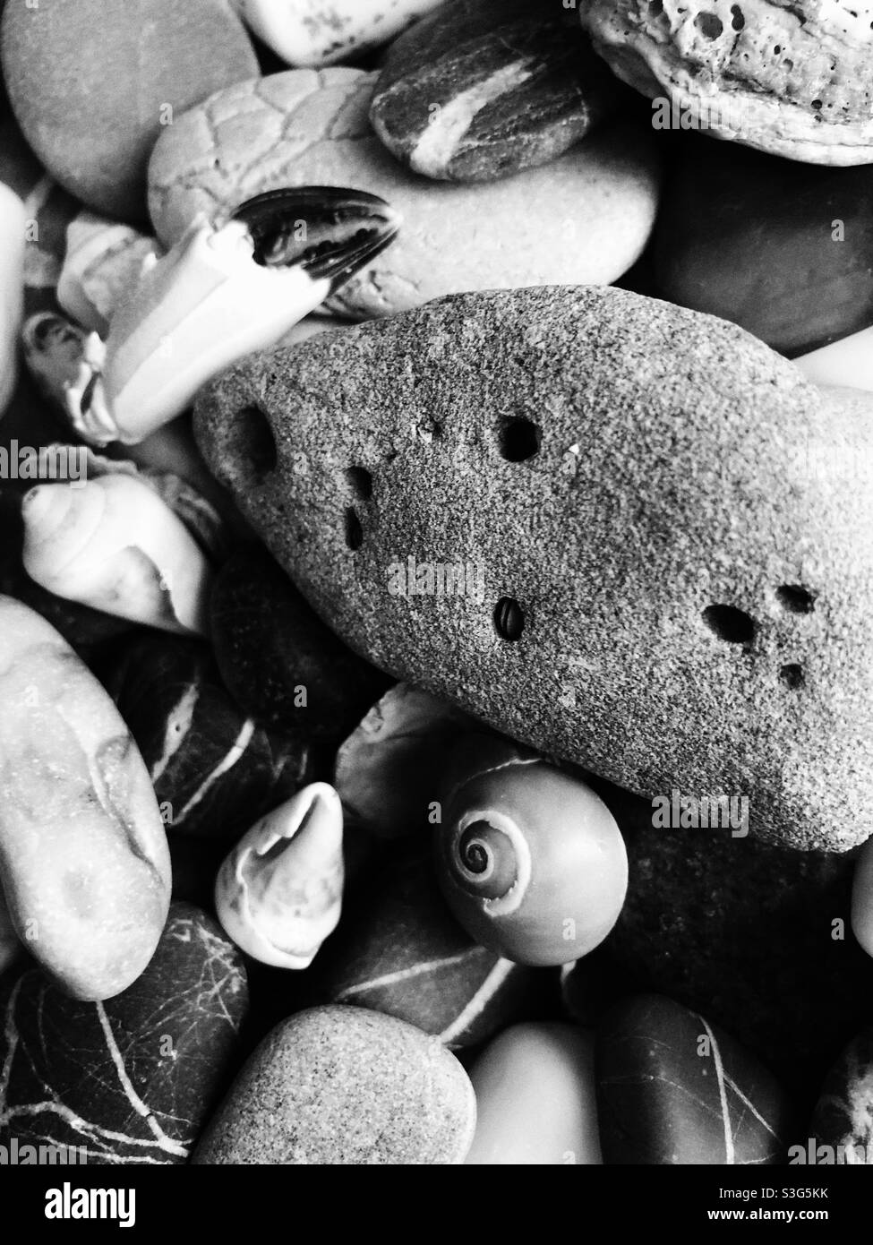Close up shot of Rocks and stones  and snail shell and crab claw - Smartphone Captured Stock Image