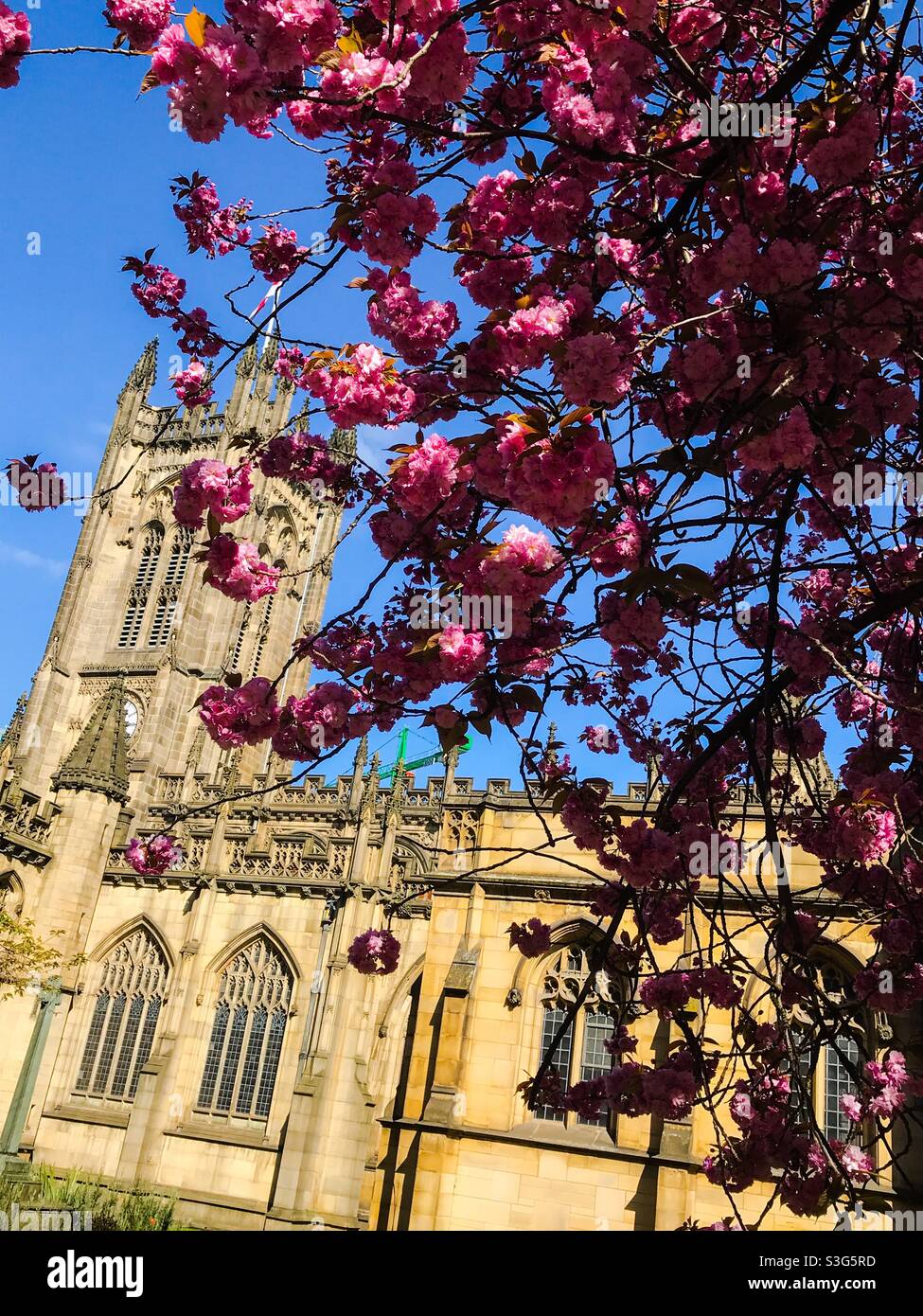 Manchester In Spring Manchester spring hi-res stock photography and images - Alamy