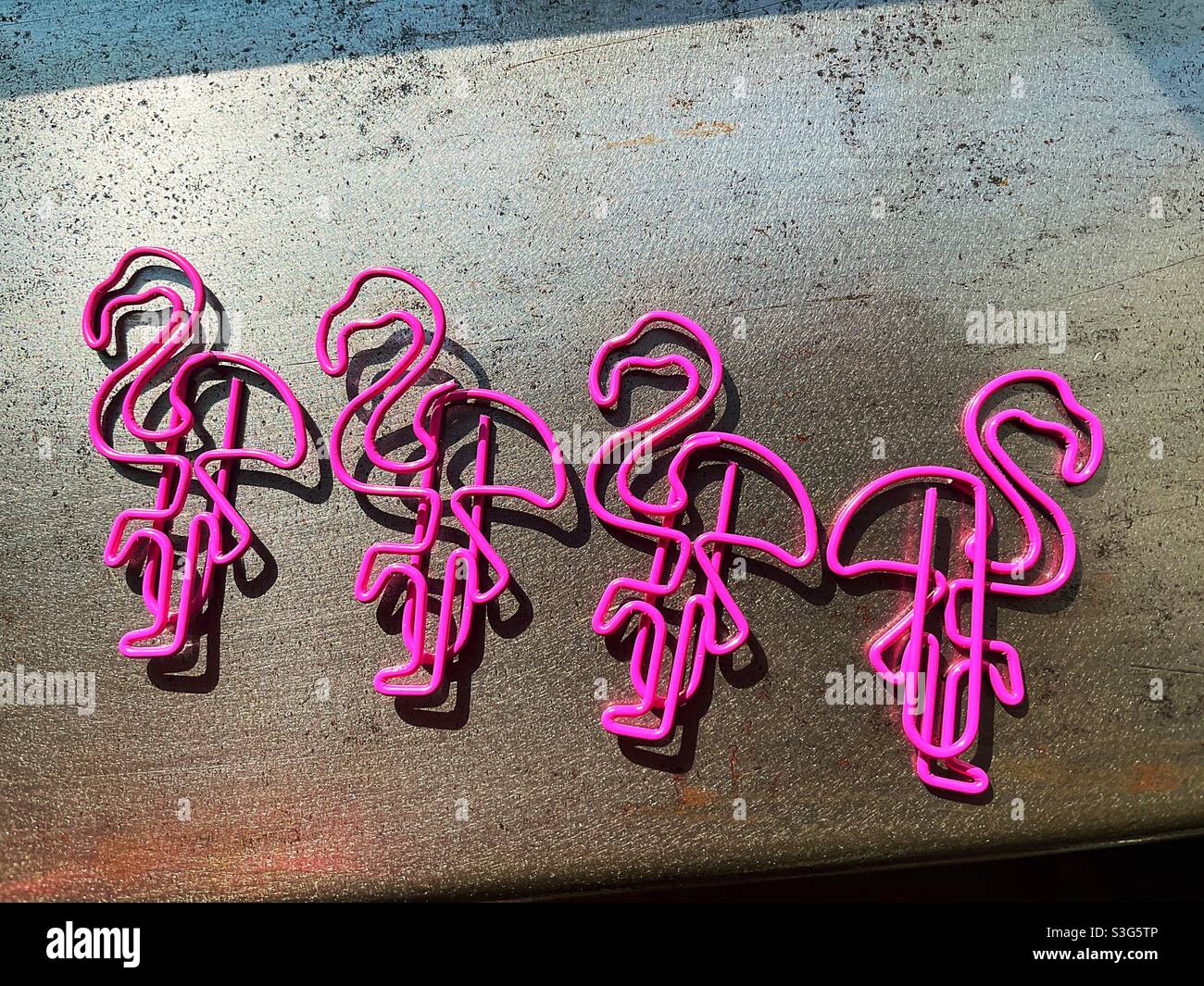Pink flamingo paper clips on a metal background, USA - Smartphone Captured Stock Image