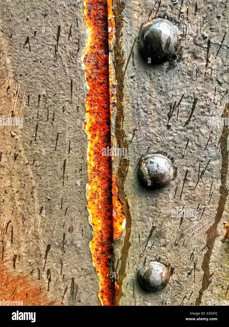 Rain, rivets and rust Stock Photo Alamy