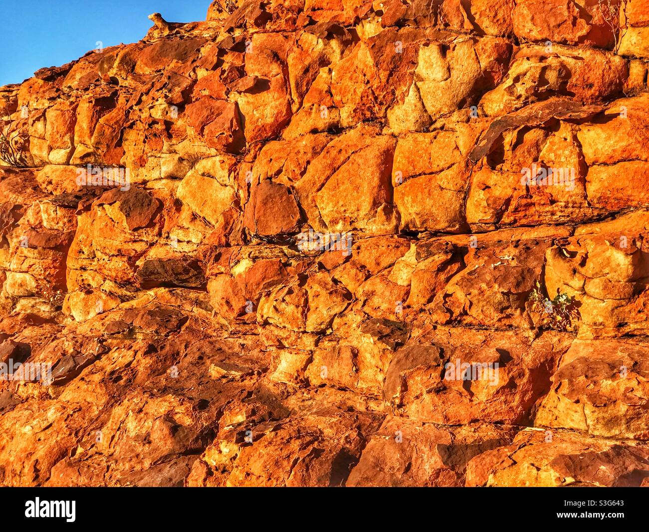 Early morning sunlight on sandstone at Kings Canyon in Watarrka National Park, Northern Territory, Australia - Smartphone Captured Stock Image