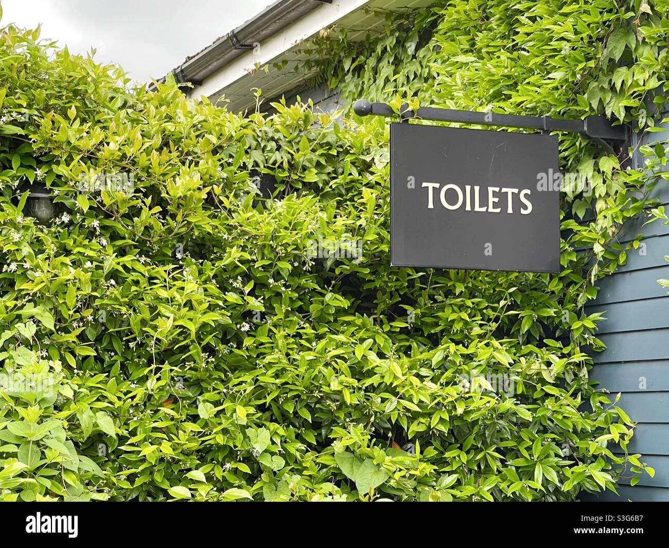 Sign for public toilets Stock Photo
