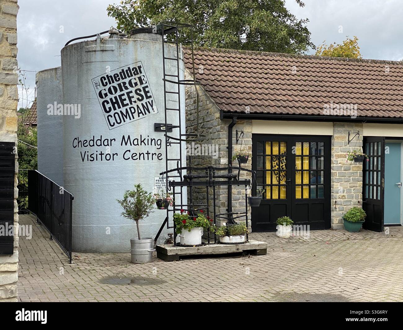 Cheddar Cheese Company Stock Photo Alamy