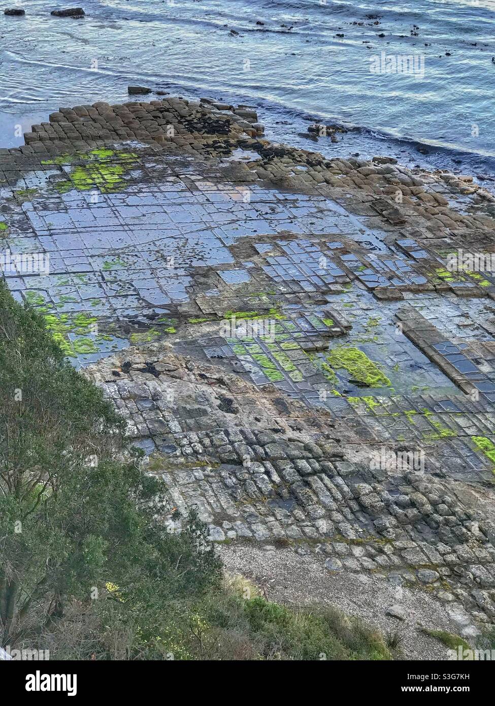Tessellated Pavement rock formation, Tasmania, Australia Stock Photo