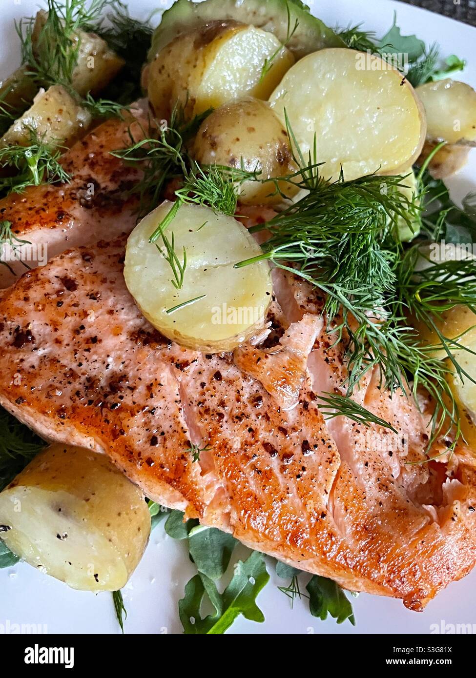 Close Up of Grilled Salmon and New Potato Entree,  USA - Smartphone Captured Stock Image
