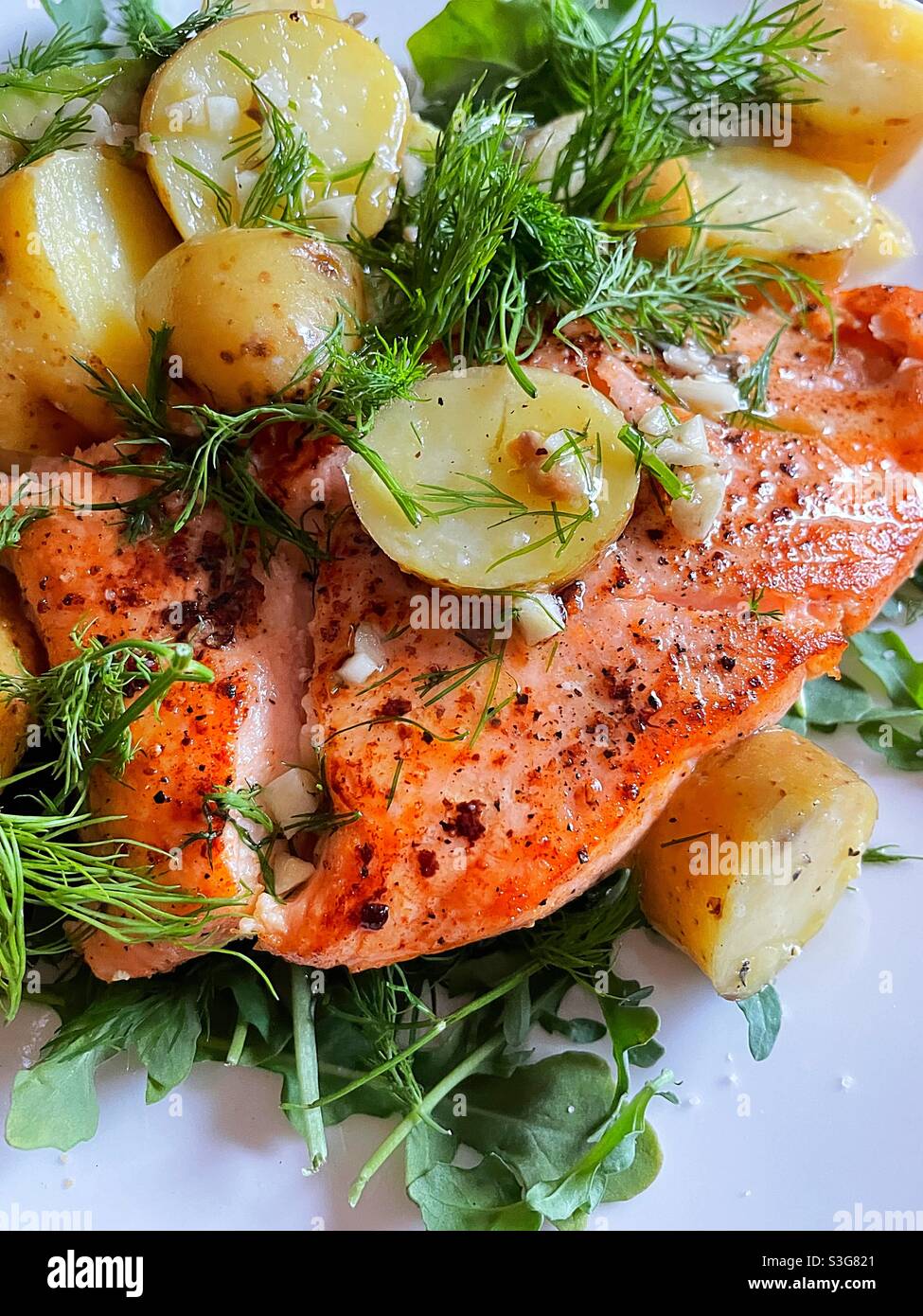 Flatley of a gourmet presentation of fresh salmon fillet, creamery new potatoes, dill and a spicy vinaigrette on a white china plate - Smartphone Captured Stock Image