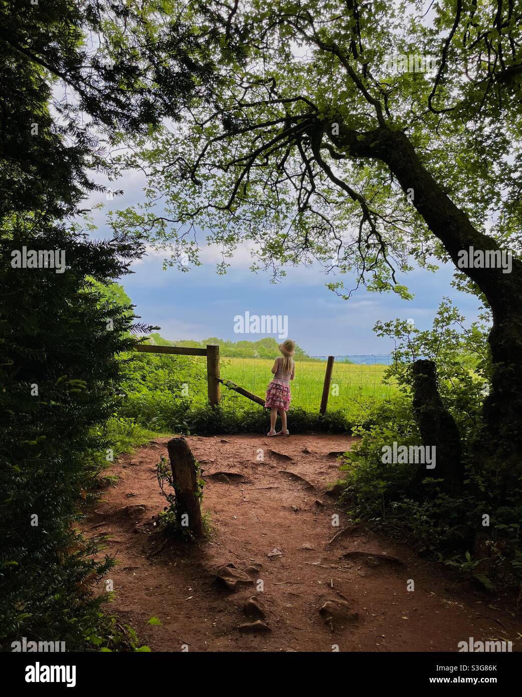 Little girl emerging from woodland and looking over sunlit meadow with moody sky. Stock Photo