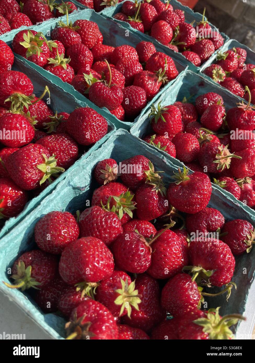Freshly picked strawberries at a farmer’s market Stock Photo