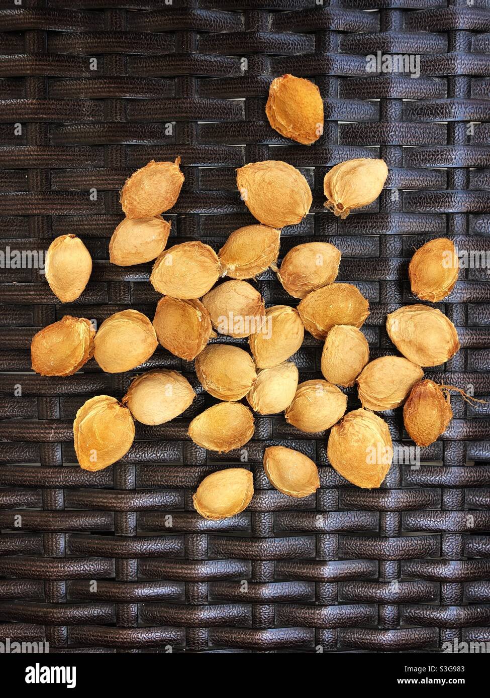 Apricot stones as nutritious nuts Stock Photo