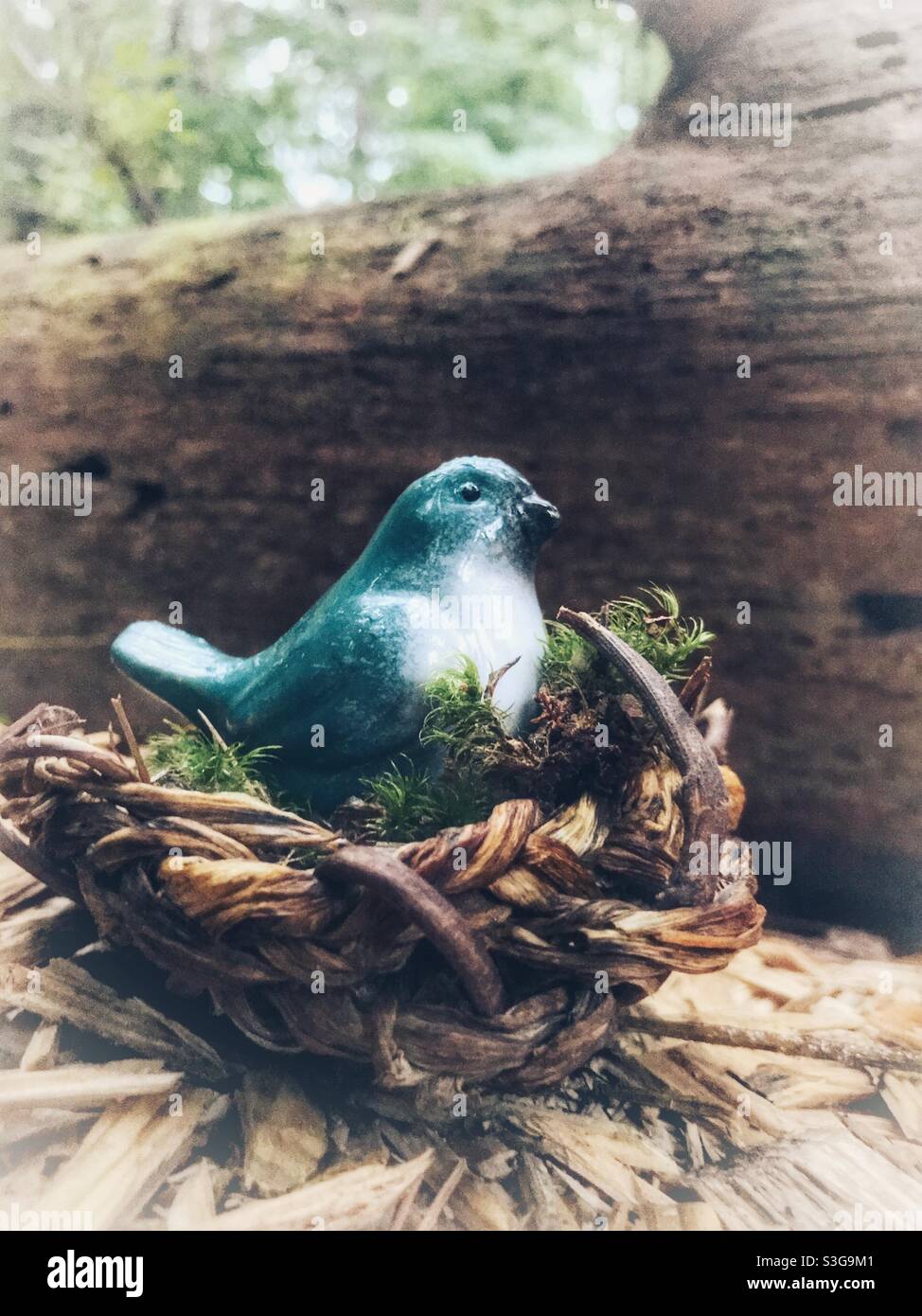 Ceramic bird figurine sits inside homemade basket nest beside fallen tree - Smartphone Captured Stock Image