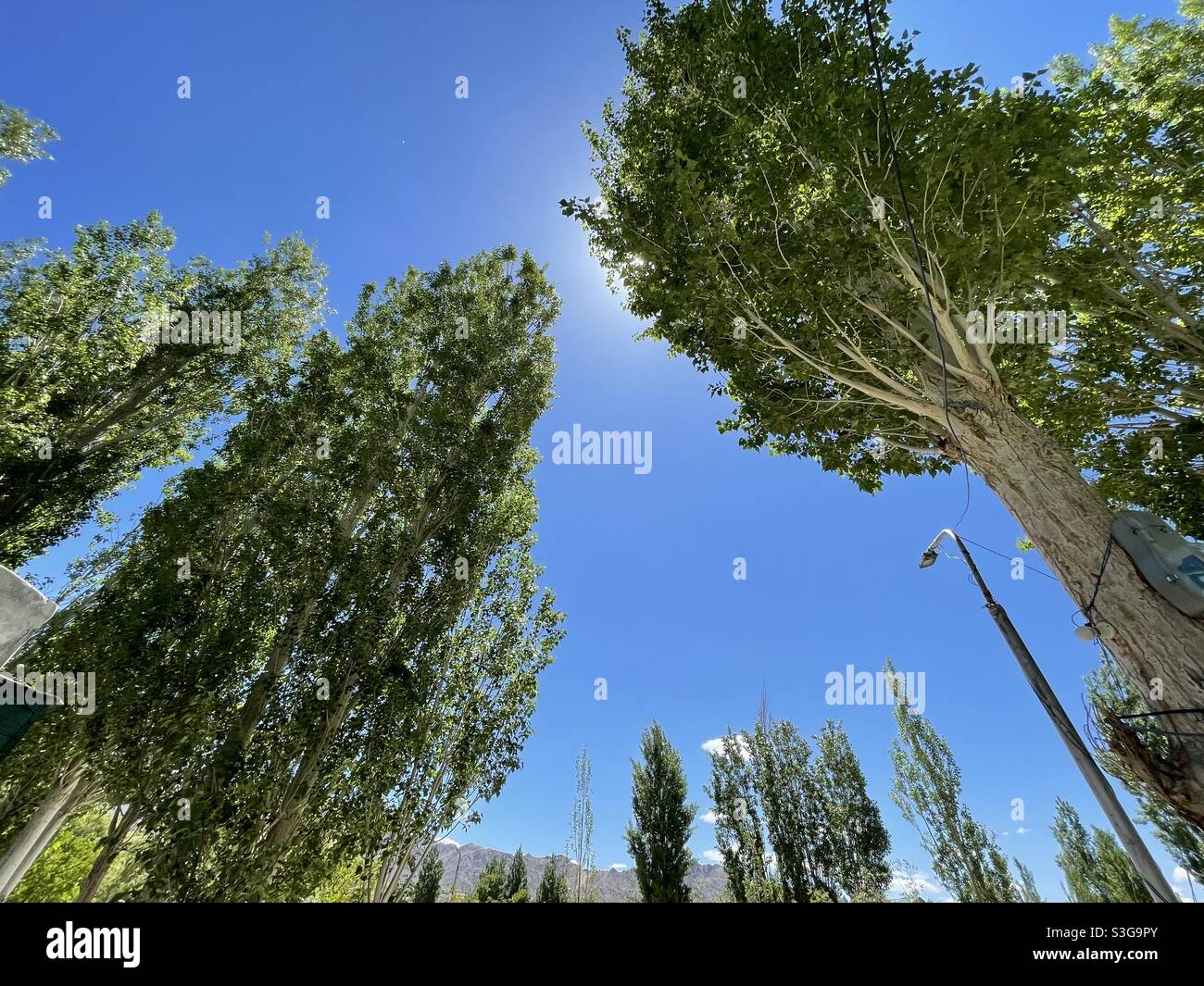 Blue is beautiful, green is soothing Stock Photo Alamy