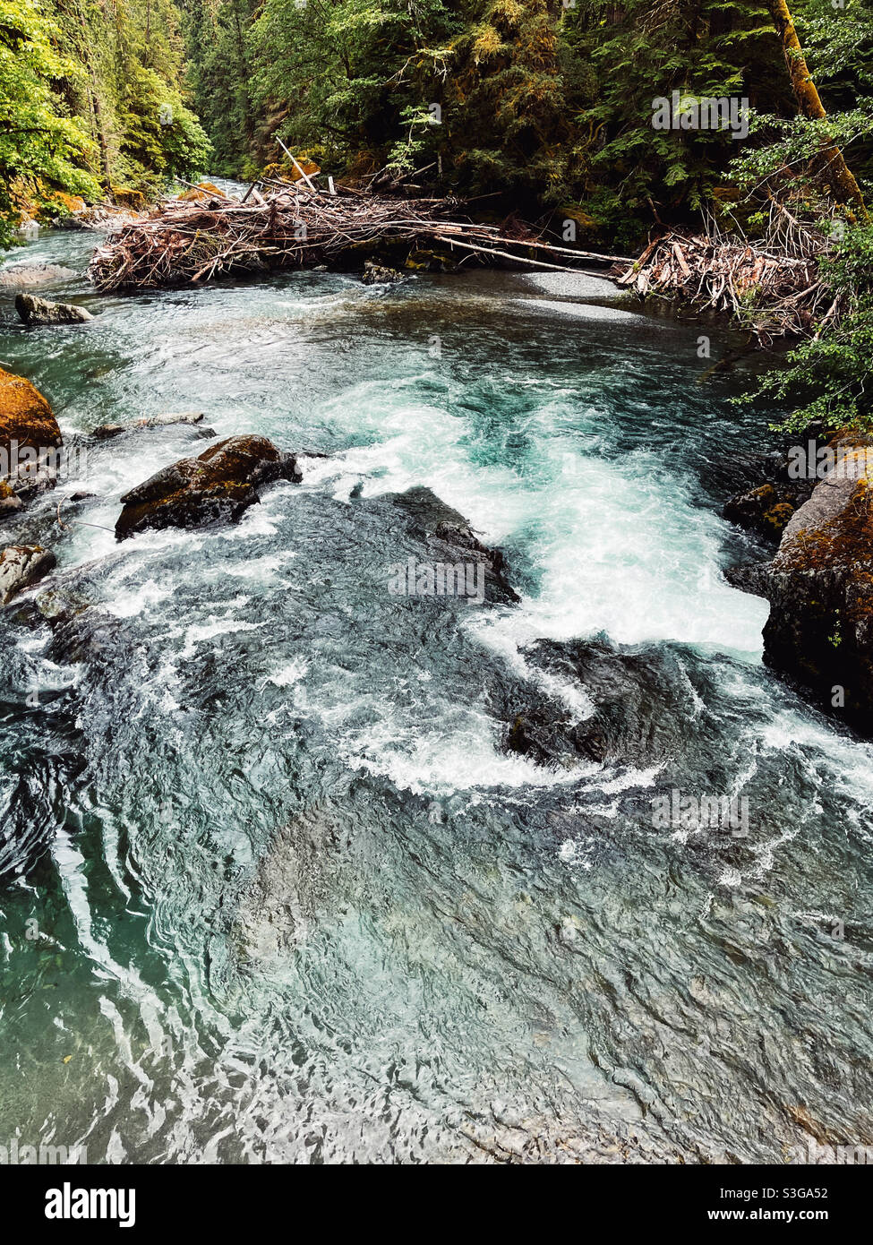 White rapids of North Fork Skokimish River at Olympic National Park - Smartphone Captured Stock Image