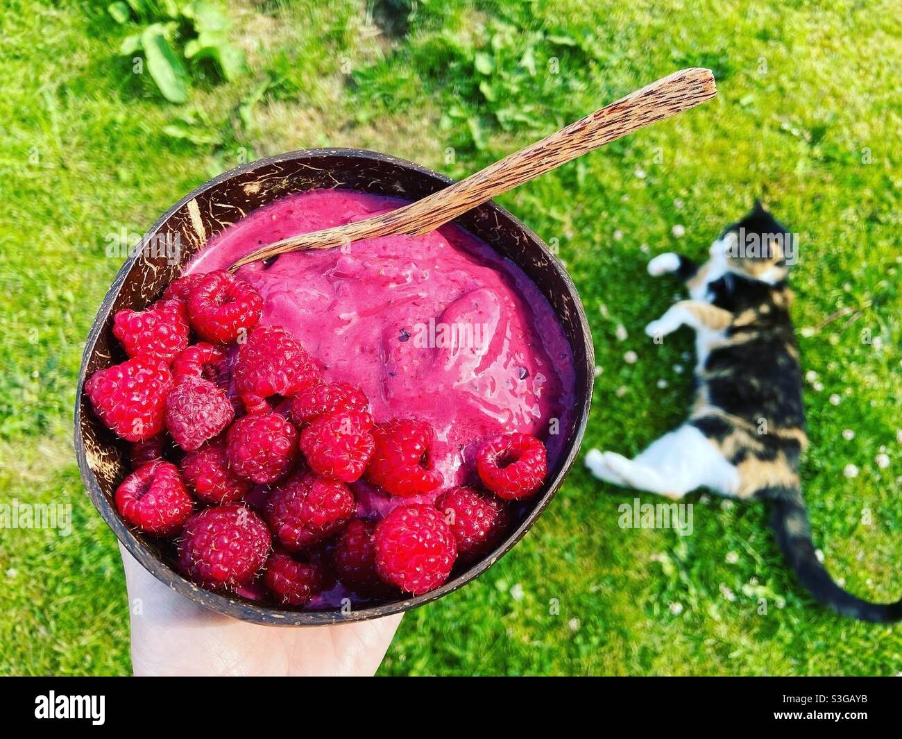 Raspberry smoothie bowl in the garden - Smartphone Captured Stock Image