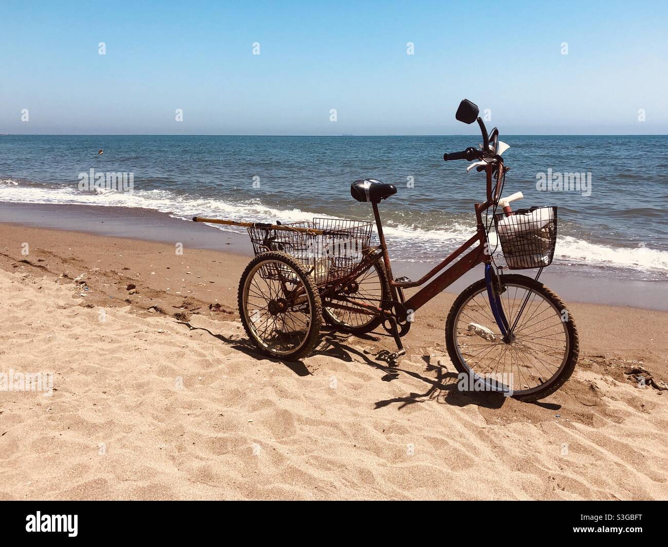 Trícele on beach - Smartphone Captured Stock Image