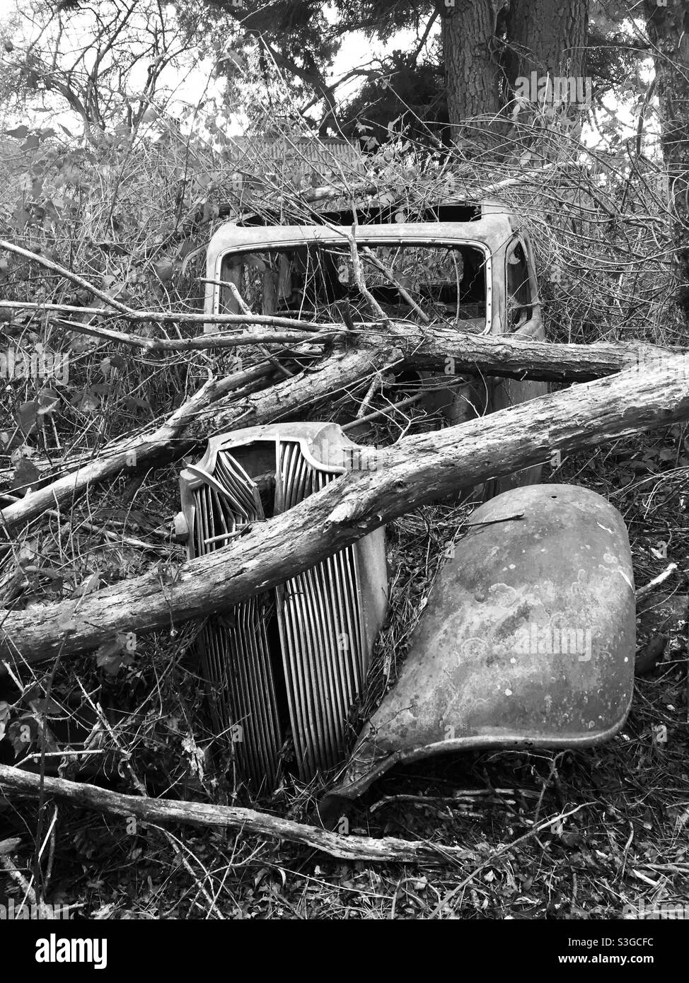 Abandoned car woods hi-res stock photography and images - Alamy