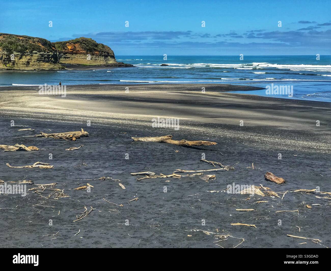 Driftwood on Mokau Beach on New Zealand’s North Island - Smartphone Captured Stock Image