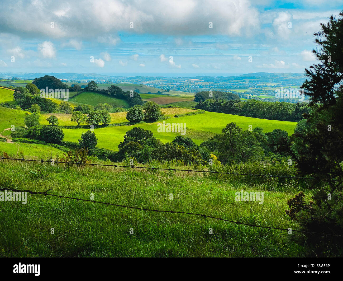 View from Lewesdon Hill, West Dorset towards the sea. - Smartphone Captured Stock Image