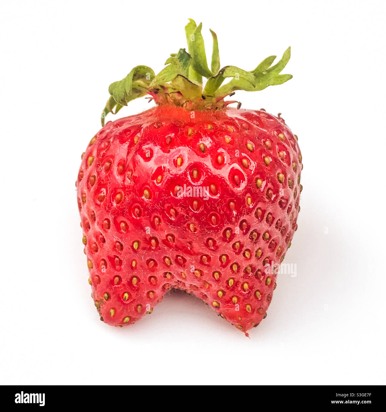 A wonky strawberry - Smartphone Captured Stock Image