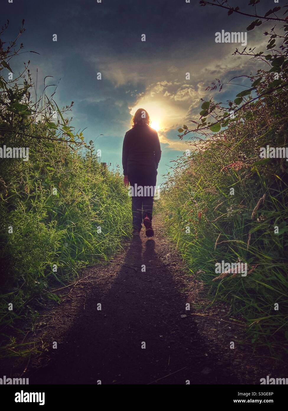 Woman alone walking down country lane back lit by late evening light - Smartphone Captured Stock Image