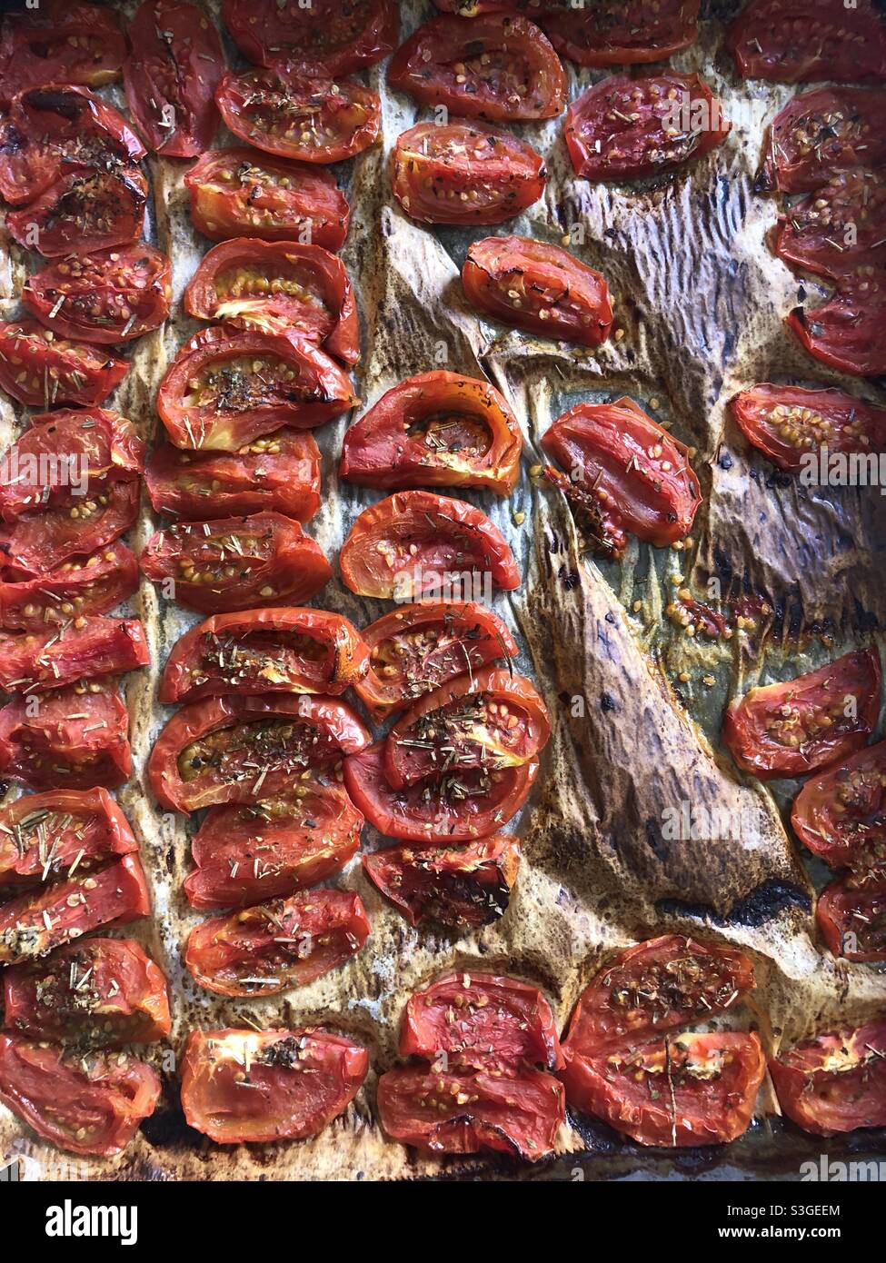 Oven roasted tomatoes served with herbs Stock Photo