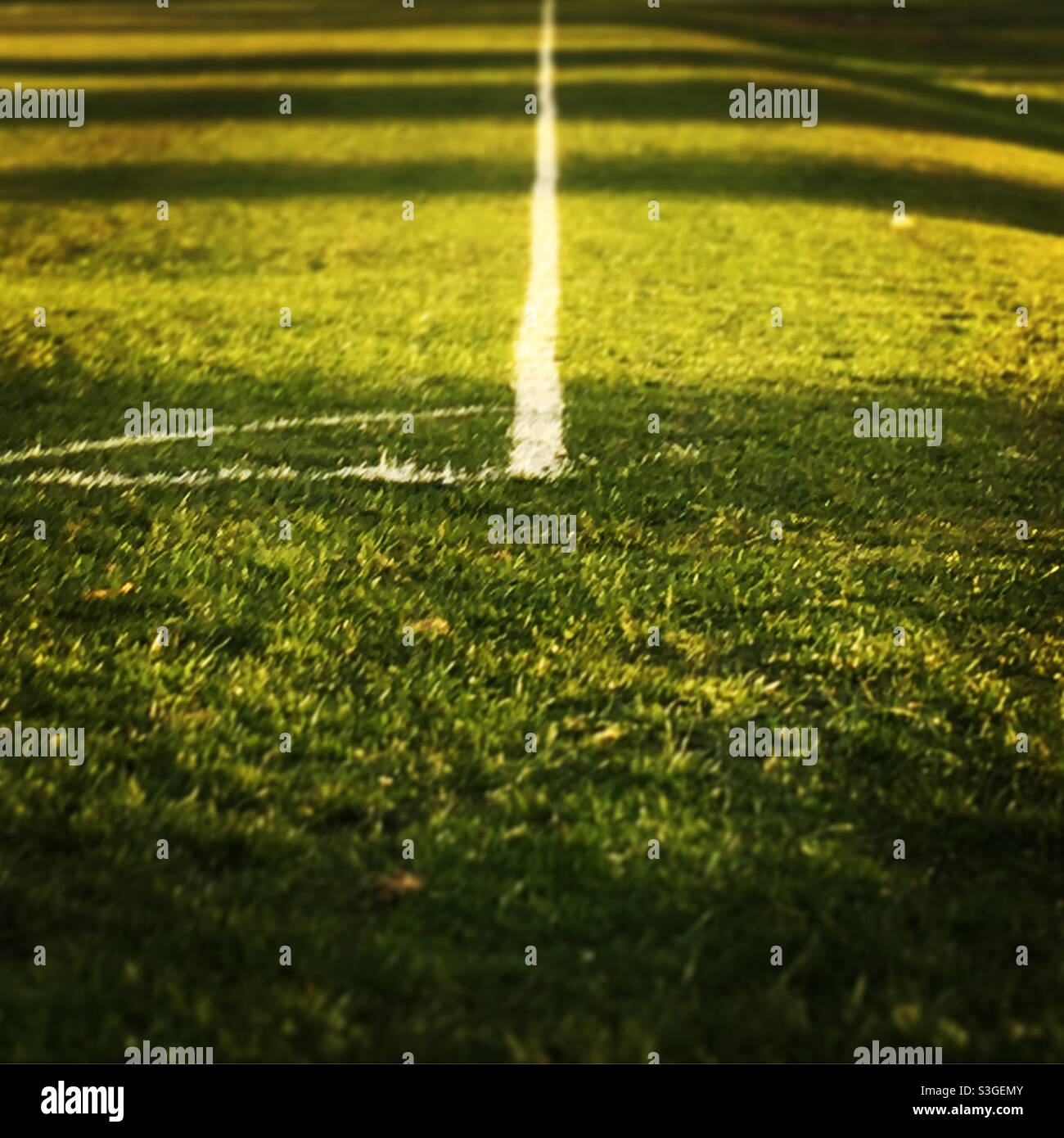 Close up of lines on a soccer pitch Stock Photo Alamy