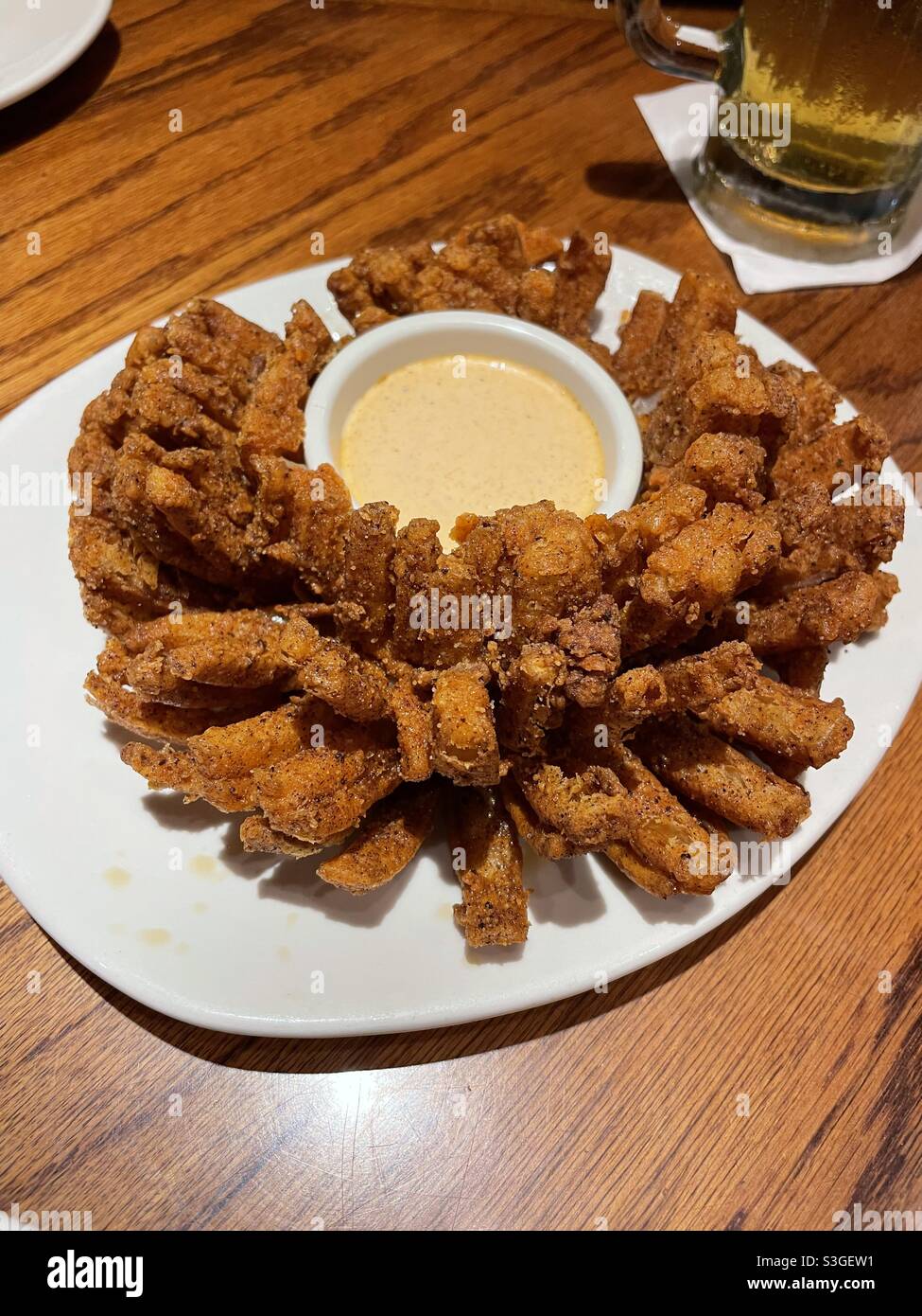 Fried onion petals with dipping sauce - Smartphone Captured Stock Image