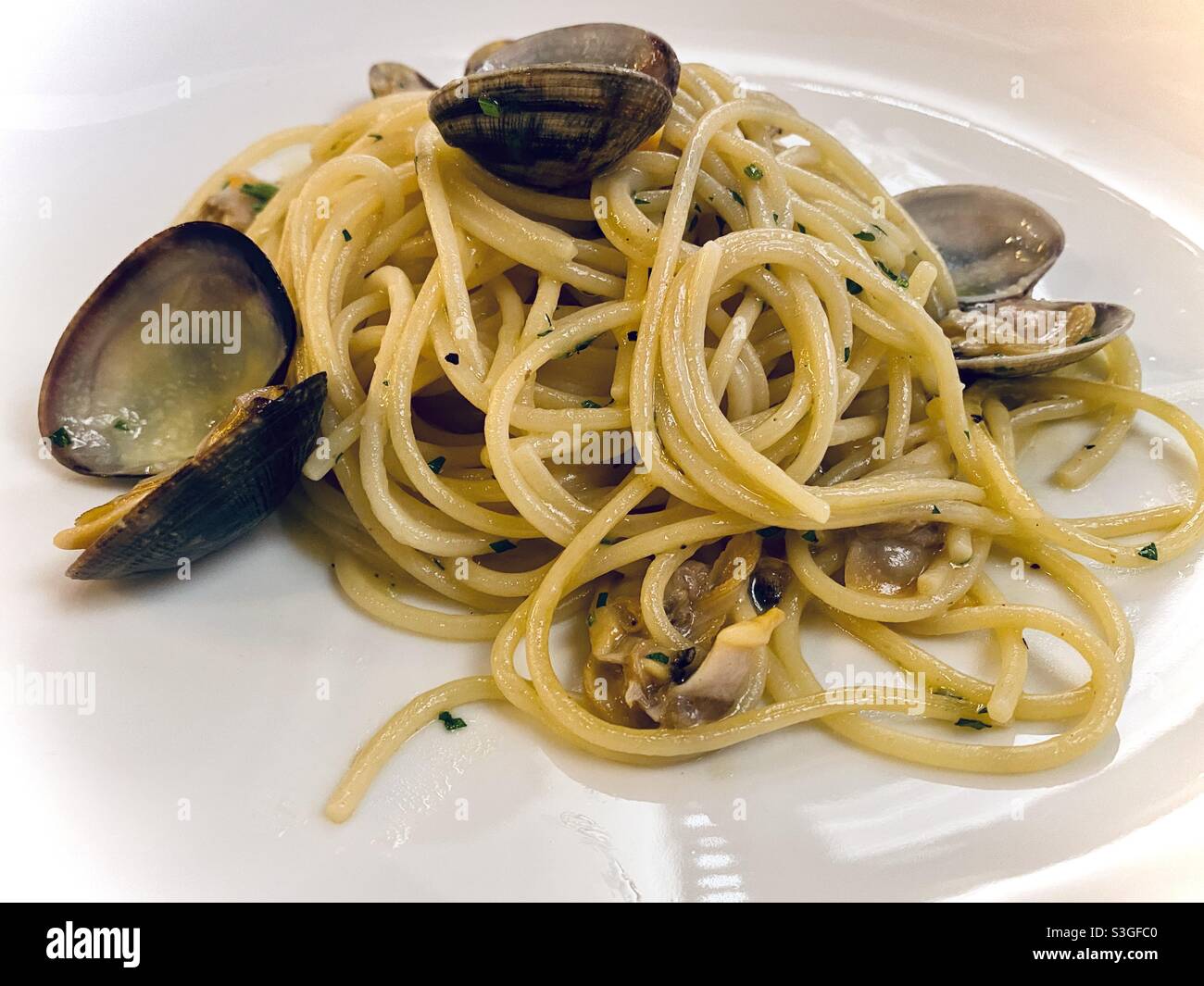 Spaghetti alla vongole Veraci (spaghetti with clams), perfectly done in Rome, Italy Stock Photo