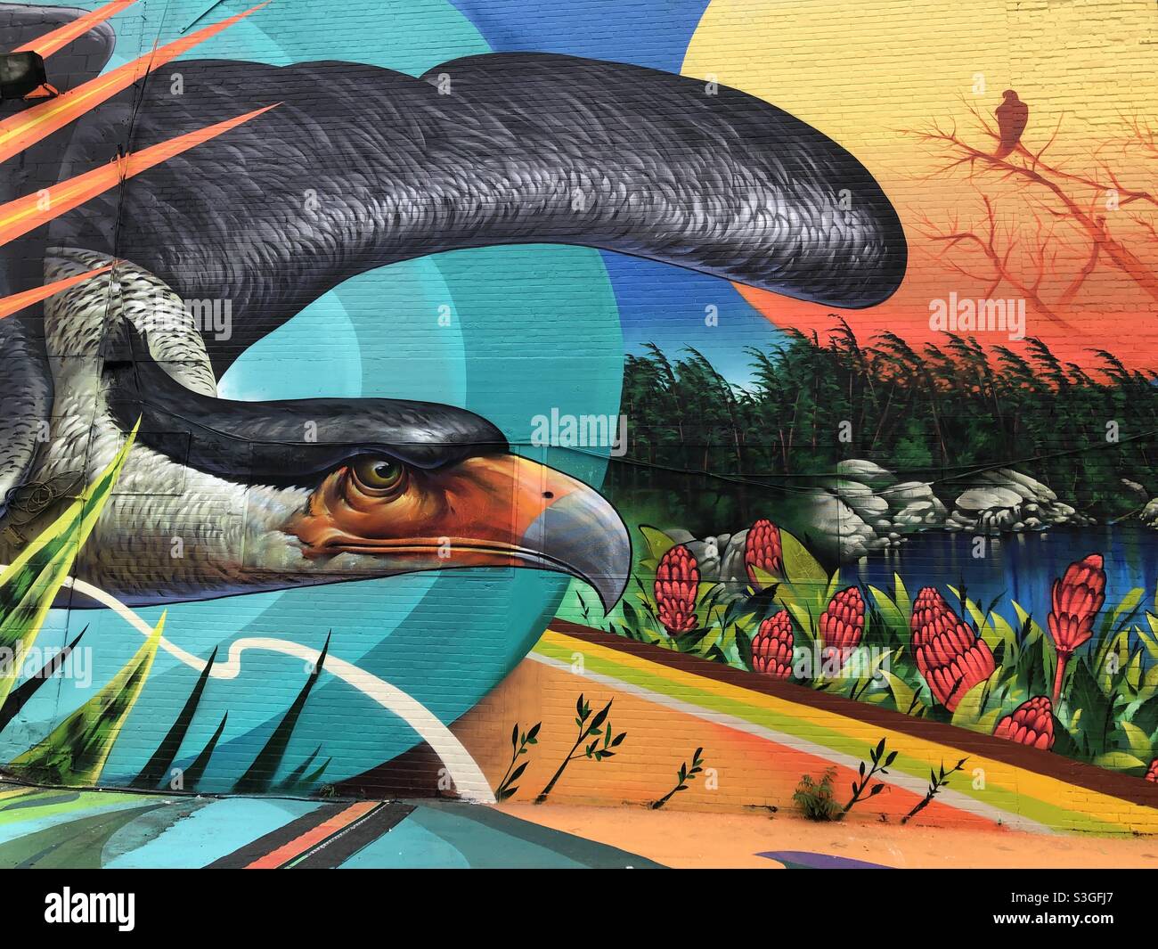 A colourful nature-themed urban street mural in downtown Toronto, Canada. - Smartphone Captured Stock Image