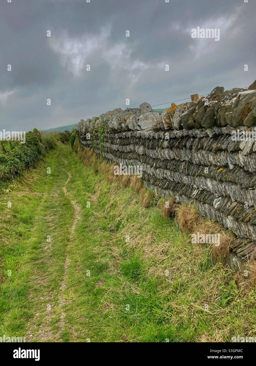 Bridleway in Cornwall Stock Photo