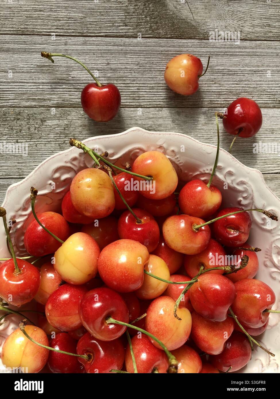 Top view of a bowl of colorful rainier cherries Stock Photo