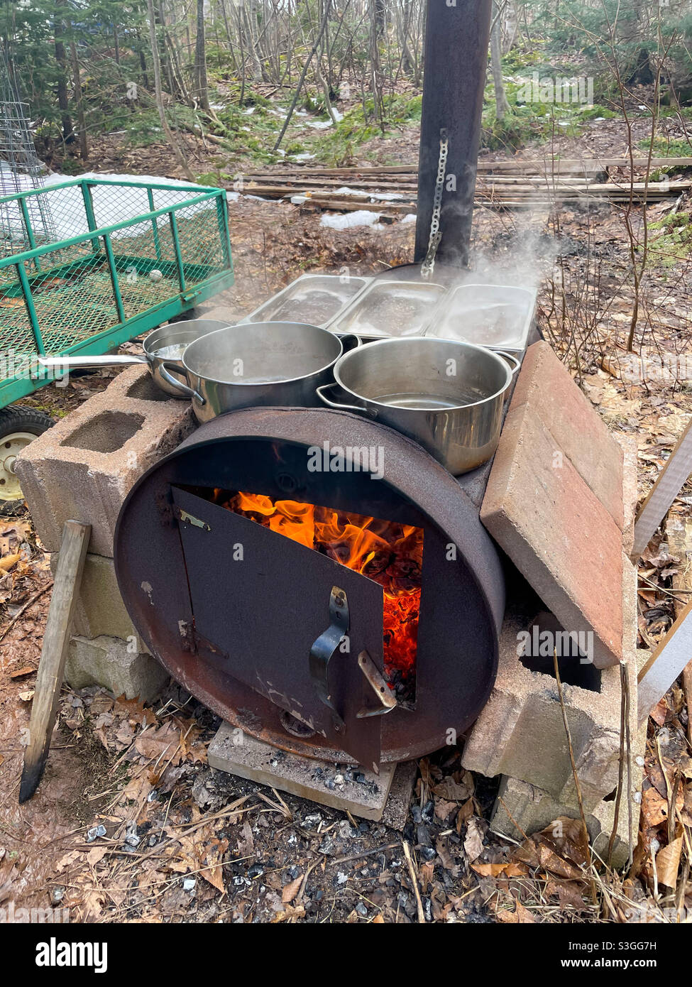 Cooking maple syrup on an outdoor barrel stove Stock Photo Alamy