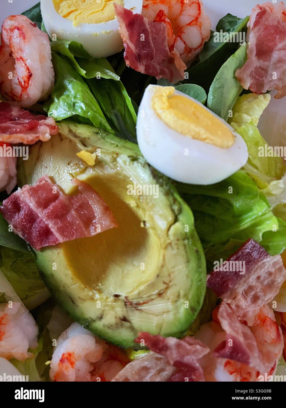 Close up of a freshly made Cobb salad featuring bacon, avocado, shrimp and hard-boiled egg slices on a tempting bed of greens - Smartphone Captured Stock Image