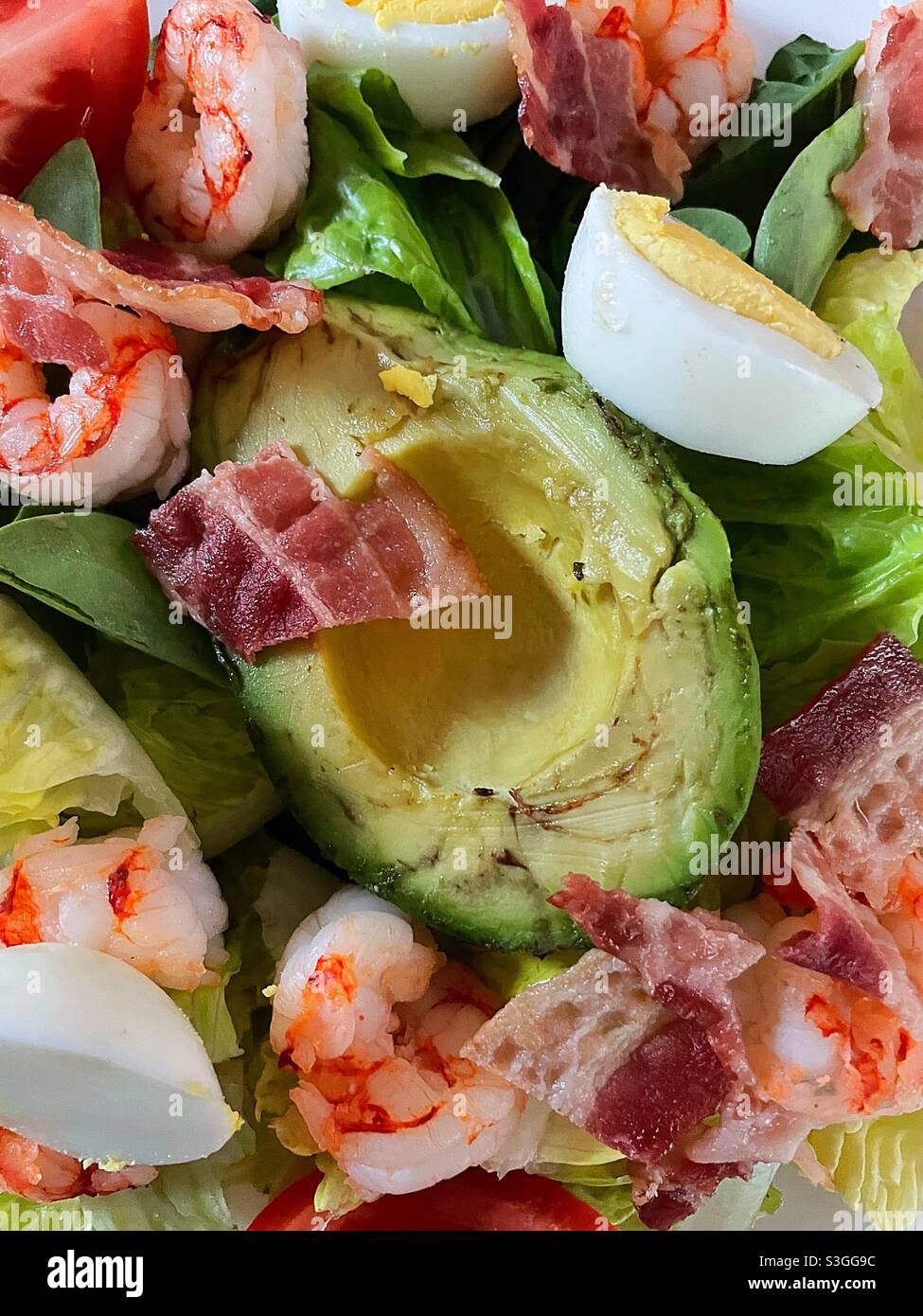 Close up of a freshly made Cobb salad featuring avocado, shrimp, bacon and sliced hard-boiled eggs - Smartphone Captured Stock Image