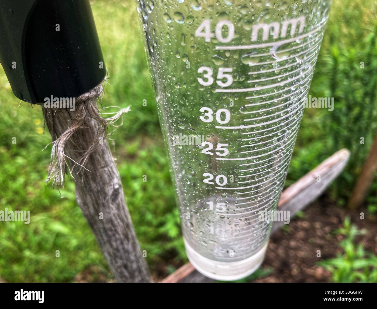 A raingauge with a Little Water in it - Smartphone Captured Stock Image