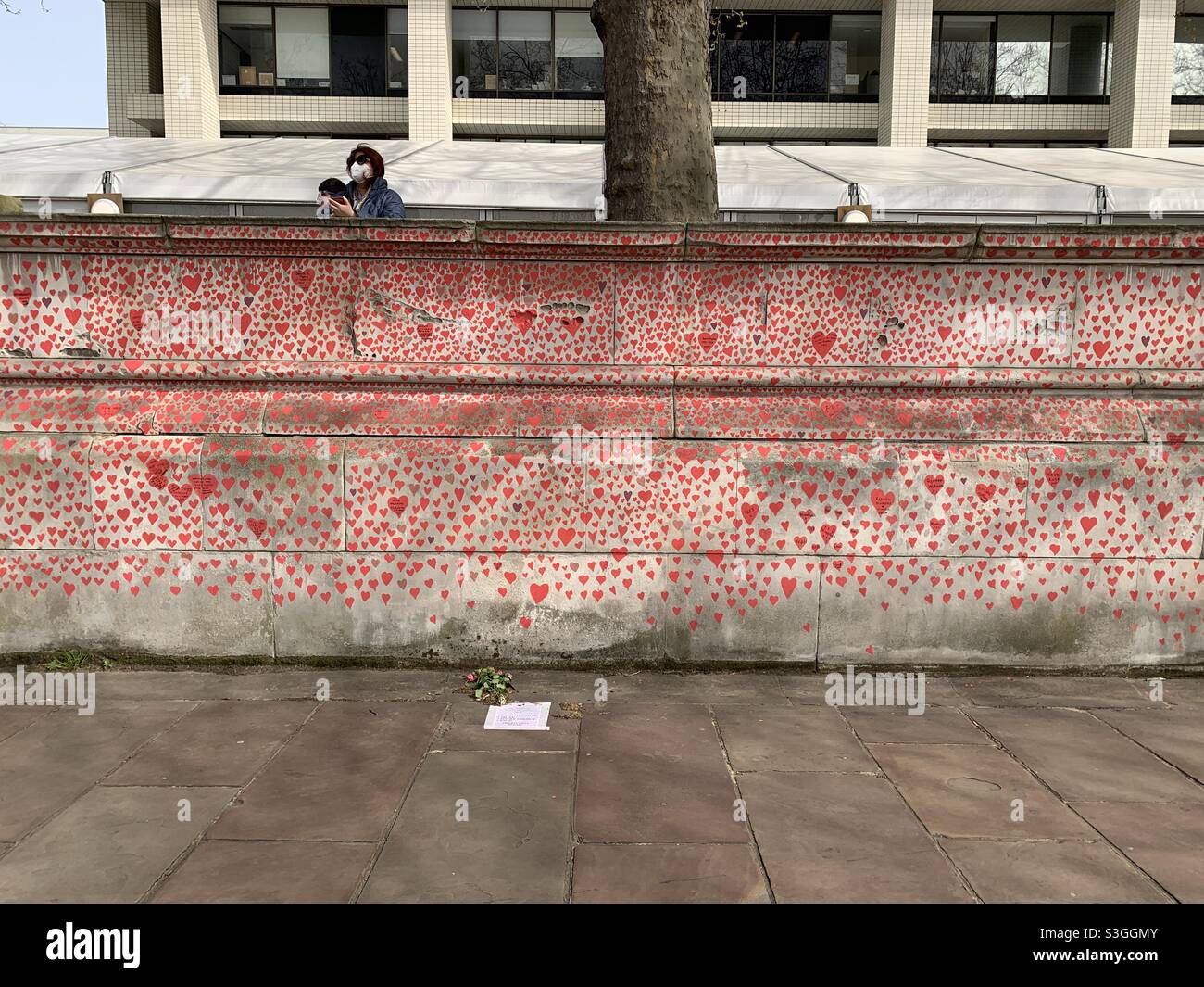 Woman with face mask on above and behind the Covid Memorial Wall with St. Thomas’ Hospitalin the background. The wall is in central London, opposite the River Thames and the Houses of Parliament. Stock Photo